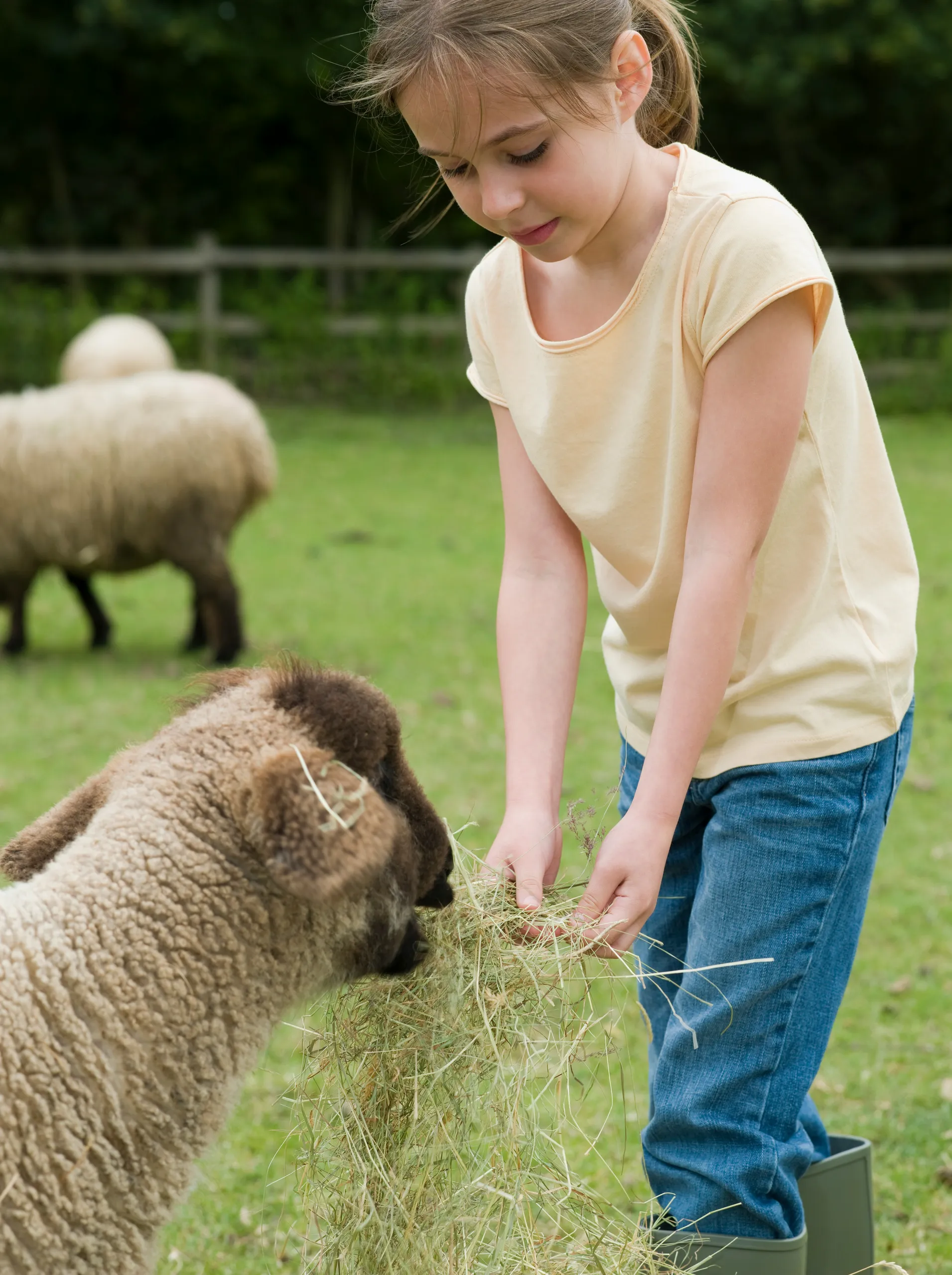 Niña abrazando a una alpaca blanca en el patio de juegos